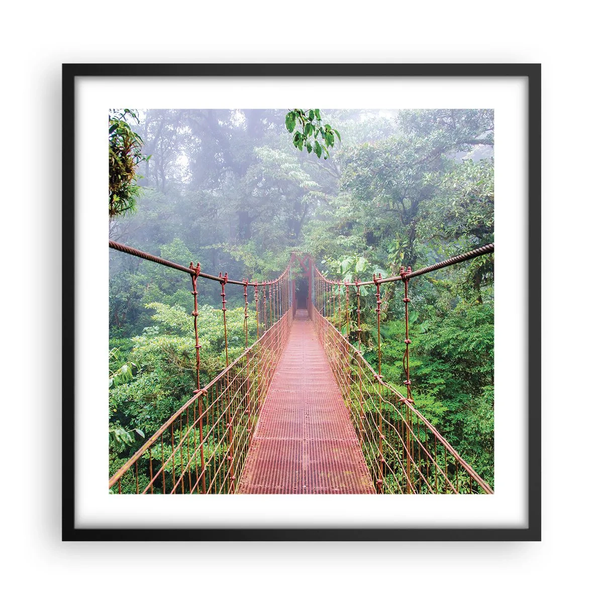 Póster en marco negro - Suspendido sobre las copas - 50x50 cm