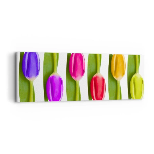 Cuadro sobre lienzo - Impresión de Imagen - Composición del arco iris - 90x30 cm