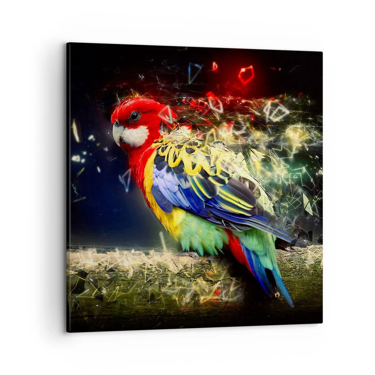 Cuadro sobre lienzo - Impresión de Imagen - Un mensajero del glamour - 50x50 cm