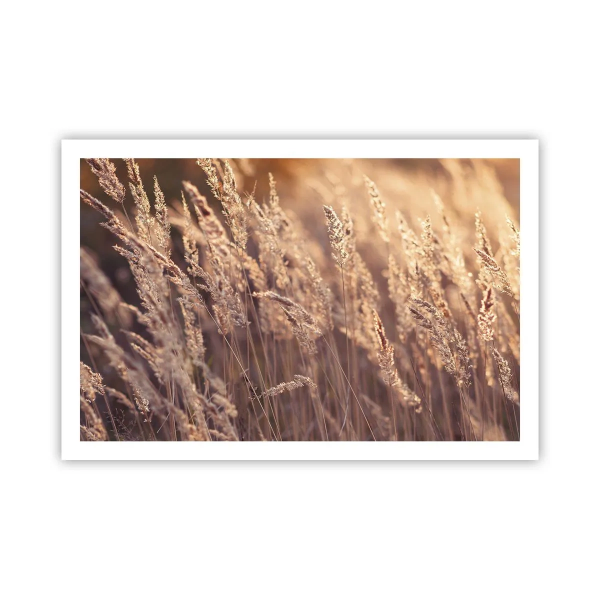 Póster - Listos para dar la bienvenida al otoño - 91x61 cm