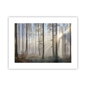 Póster - La niebla también está despierta - 40x30 cm