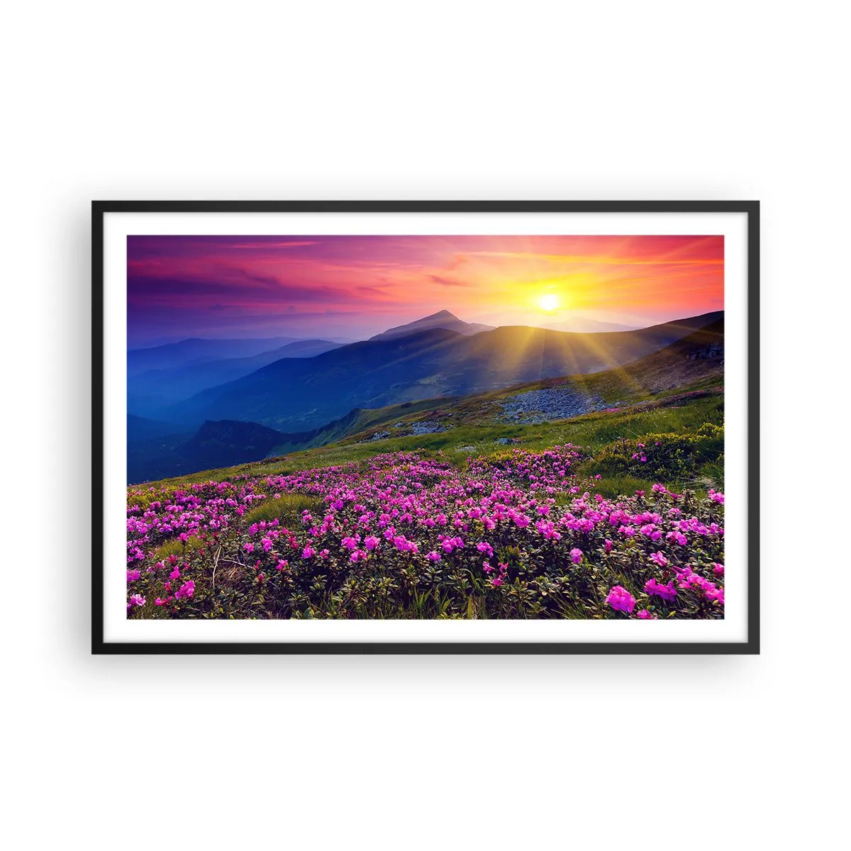 Póster en marco negro - ... Y el aroma a hierbas está por todas partes - 91x61 cm