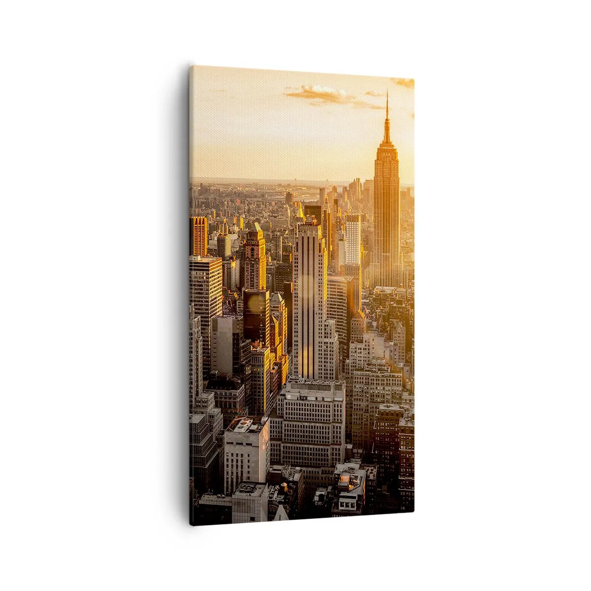 Cuadro sobre lienzo - Impresión de Imagen - Creciendo al sol - 55x100 cm