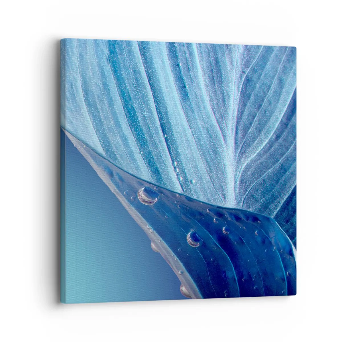 Cuadro sobre lienzo - Impresión de Imagen - Gotas ocultas de azul - 30x30 cm