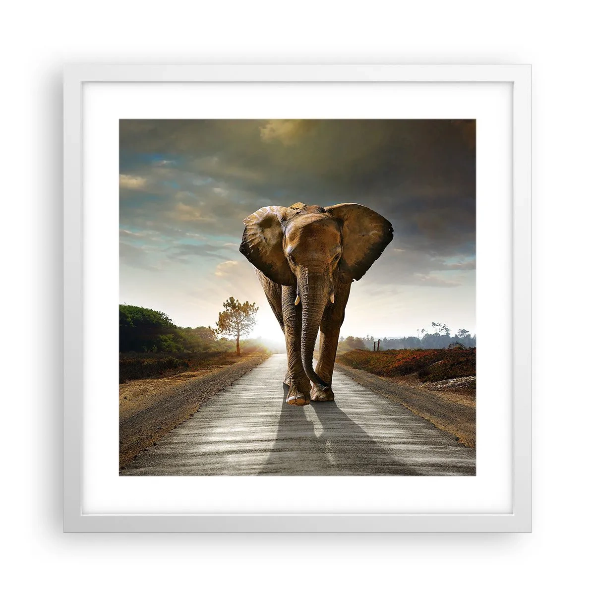 Póster en marco blanco - Y para nada en un almacén de porcelana - 40x40 cm