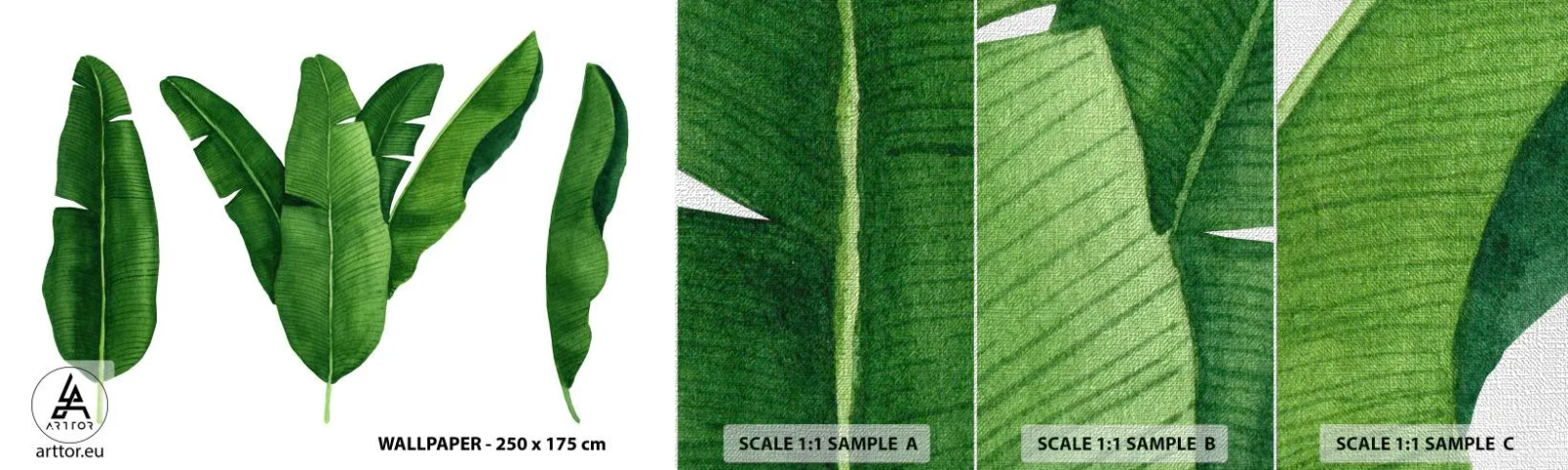 Muestra de fotomural Premium Canvas - Simetría verde - Hoja de banana, Tropical, Estilo botánico - 100x30 cm