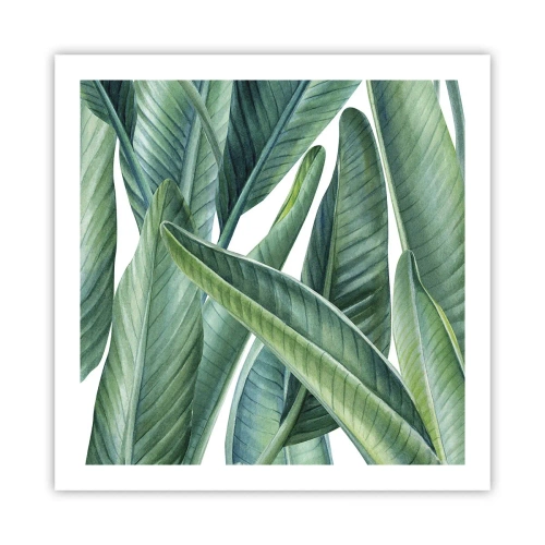 Póster - Vegetación en estado puro - 60x60 cm