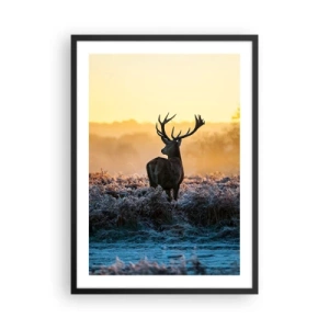 Póster en marco negro - Un ciervo en un claro helado al amanecer. - 50x70cm - Coronado en sus propios dominios - Decoración de pared moderna para salón y dormitorio ARTTOR