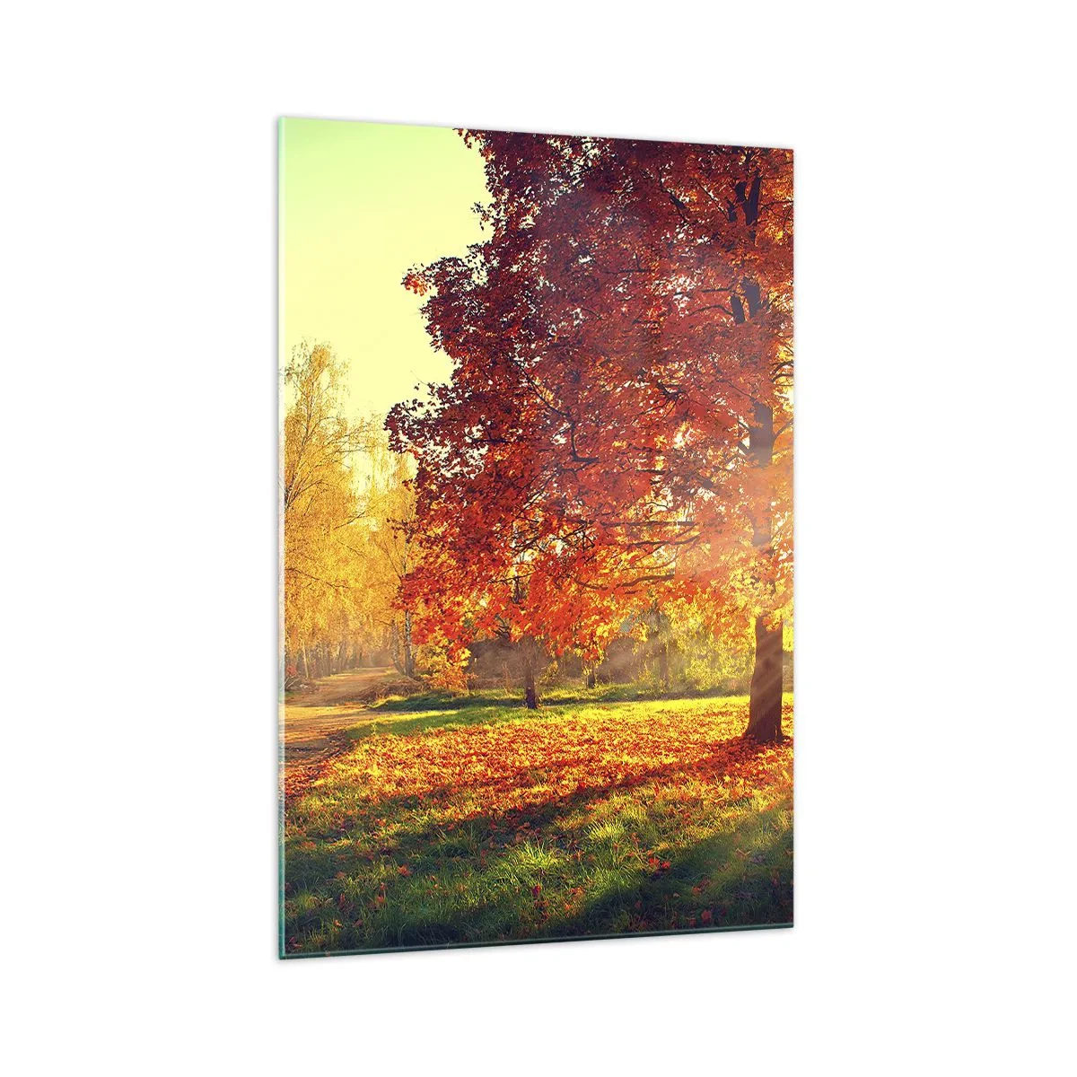 Cuadro sobre vidrio - Impresiones sobre Vidrio - Parque otoñal iluminado por la luz del sol - 70x100cm - El rojo es hermoso - Decoración de pared moderna para salón y dormitorio ARTTOR