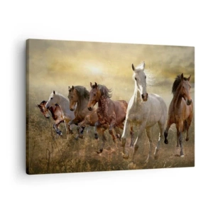 Cuadro sobre lienzo - Impresión de Imagen - Un grupo de caballos al galope con el sol poniente como telón de fondo. - 70x50cm - ¡Viva la libertad! - Decoración de pared moderna para salón y dormitorio ARTTOR