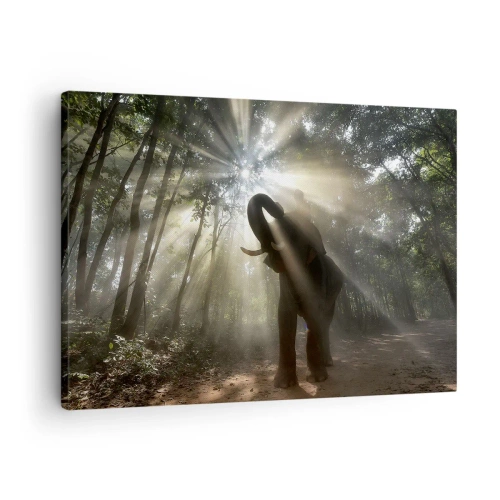 Cuadro sobre lienzo - Impresión de Imagen - Un elefante en el bosque rodeado de rayos de luz en la niebla de la mañana. - 70x50cm - Bajo una estrella de la suerte - Decoración de pared moderna para salón y dormitorio ARTTOR