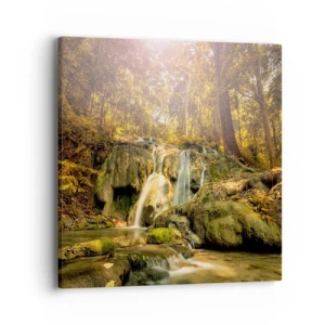 Cuadro sobre lienzo - Impresión de Imagen - Cascada forestal en verde - 40x40 cm