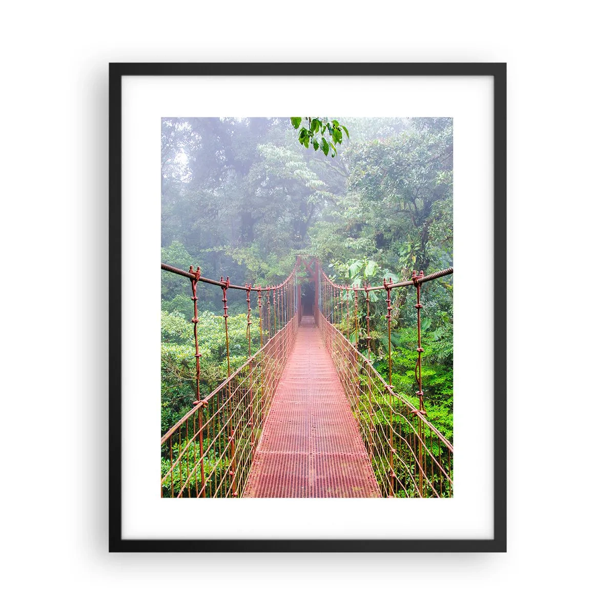 Póster en marco negro - Suspendido sobre las copas - 40x50 cm