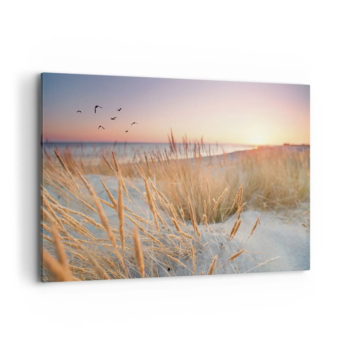 Cuadro sobre lienzo - Impresión de Imagen - Playa al atardecer con hierbas altas - 120x80cm - Dulce nana del Báltico - Decoración de pared moderna para salón y dormitorio ARTTOR