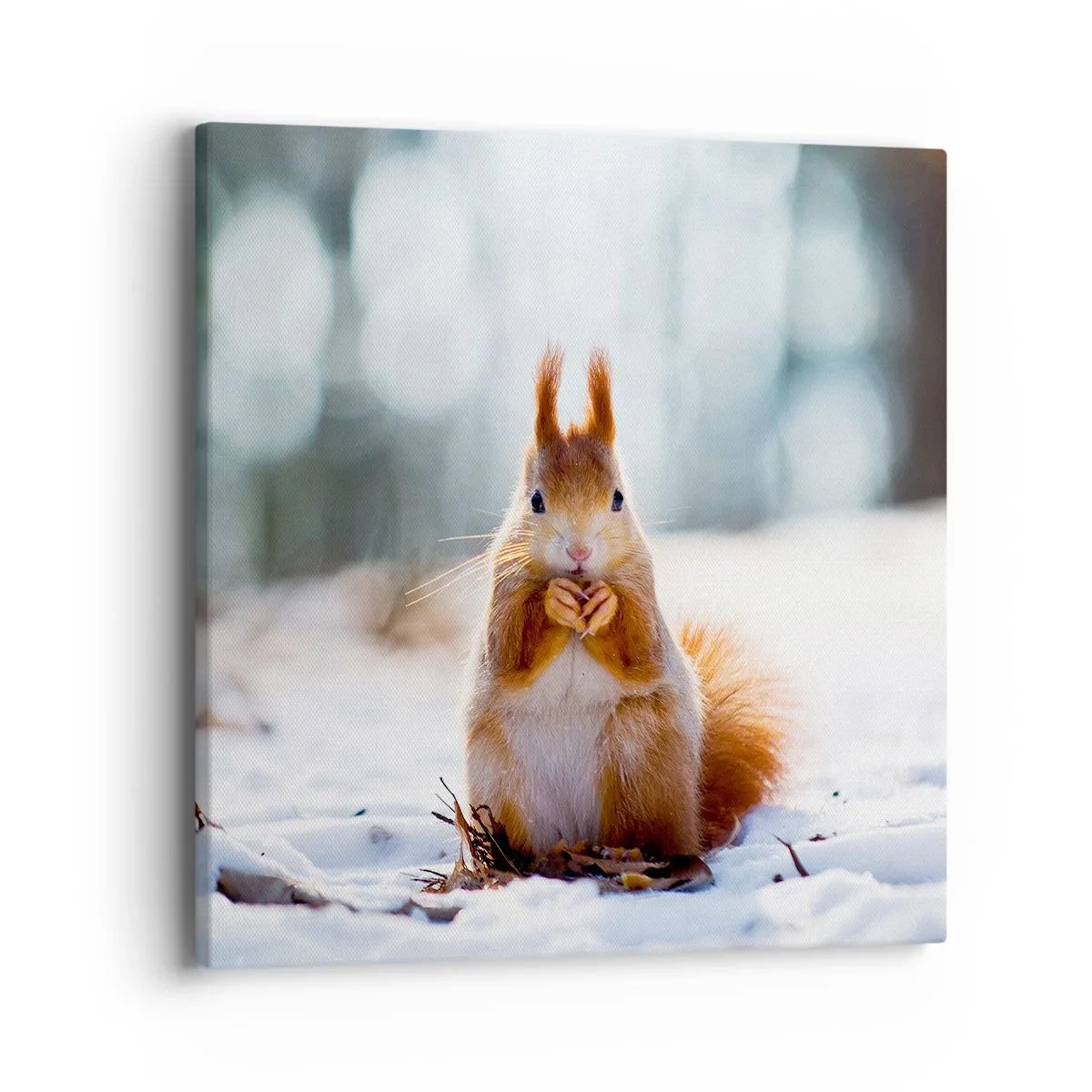 Cuadro sobre lienzo - Impresión de Imagen - ¿Qué estás mirando? - 40x40 cm