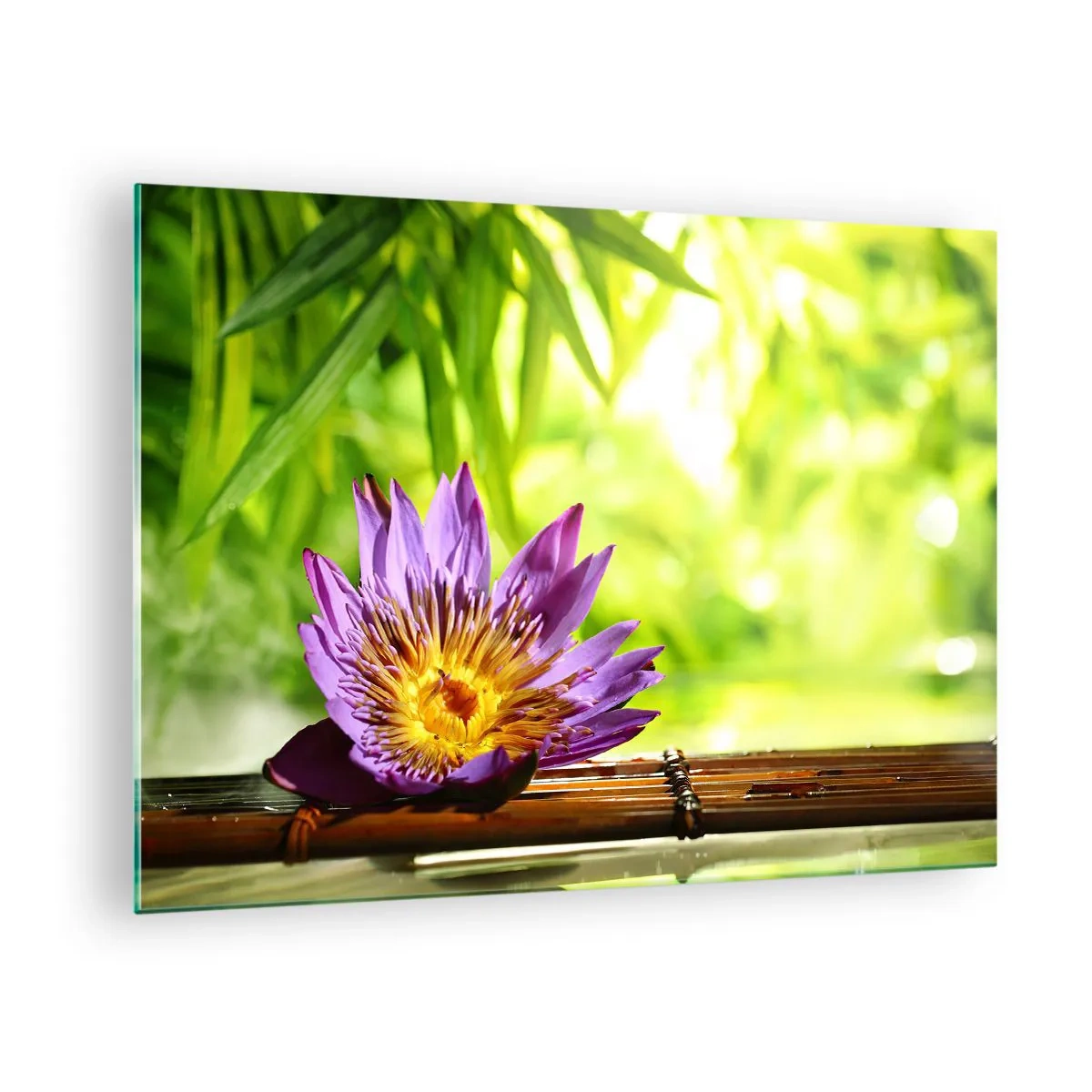 Cuadro sobre vidrio - Impresiones sobre Vidrio - Flor de loto morada sobre una tabla de bambú con fondo verde. - 70x50cm - Bajo el sol de Asia - Decoración de pared moderna para salón y dormitorio ARTTOR