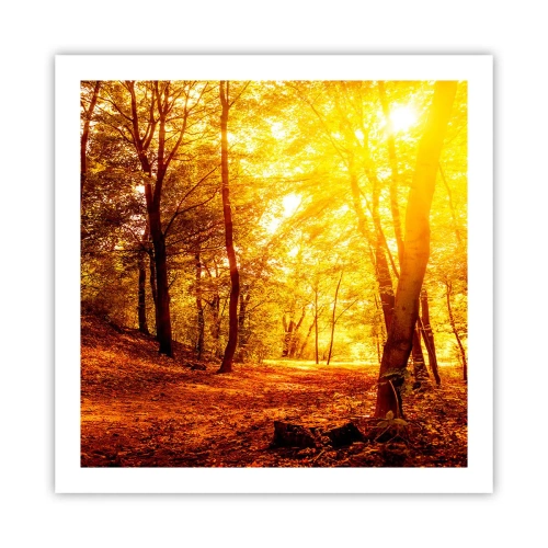 Póster - Hacia un claro de oro - 60x60 cm