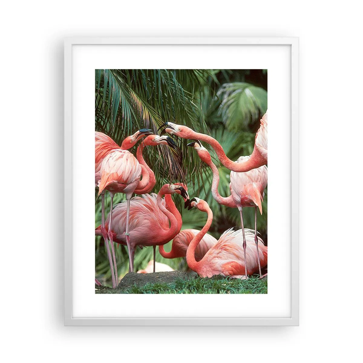 Póster en marco blanco - Cotilleos de la tarde - 40x50 cm