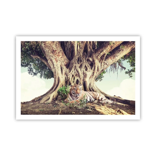 Póster - Una visión desde el Génesis - 91x61 cm