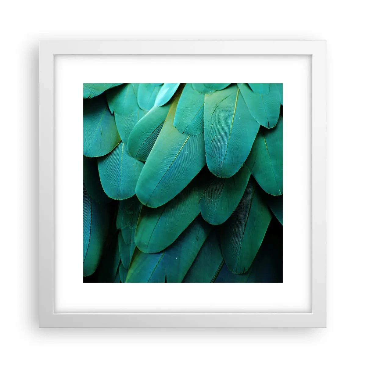 Póster en marco blanco - La precisión de la naturaleza  - 30x30 cm