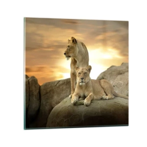 Cuadro sobre vidrio - Impresiones sobre Vidrio - Majestuosidad real - 70x70 cm