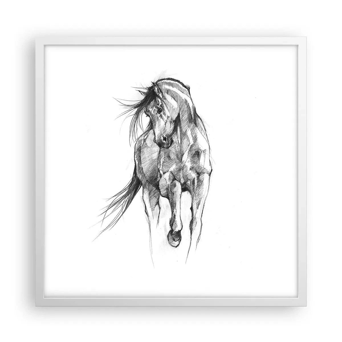 Póster en marco blanco - En un elegante trote - 50x50 cm