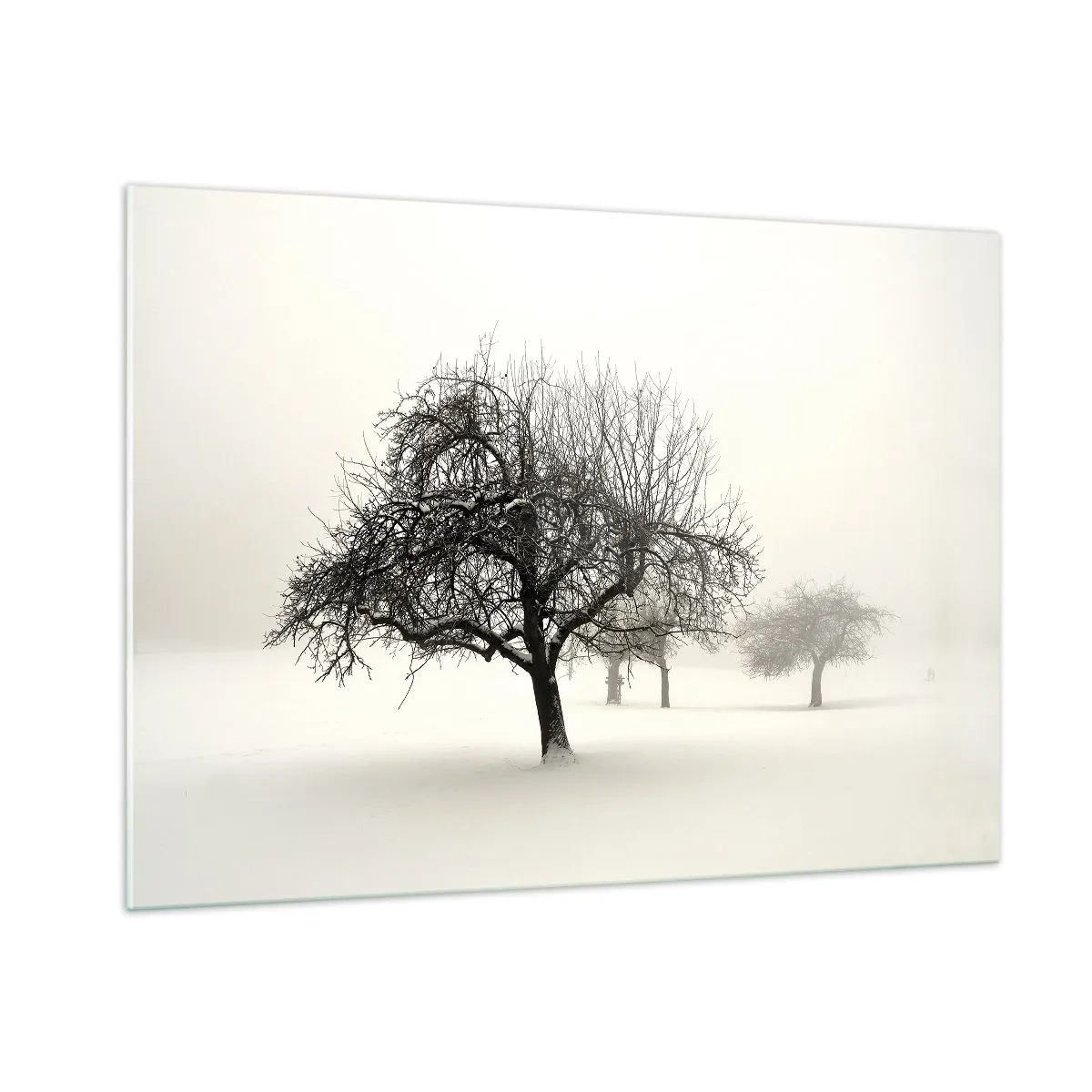 Cuadro sobre vidrio - Impresiones sobre Vidrio - Árboles en un paisaje invernal cubiertos de nieve y niebla. - 100x70cm - Sueño de invierno - Decoración de pared moderna para salón y dormitorio ARTTOR