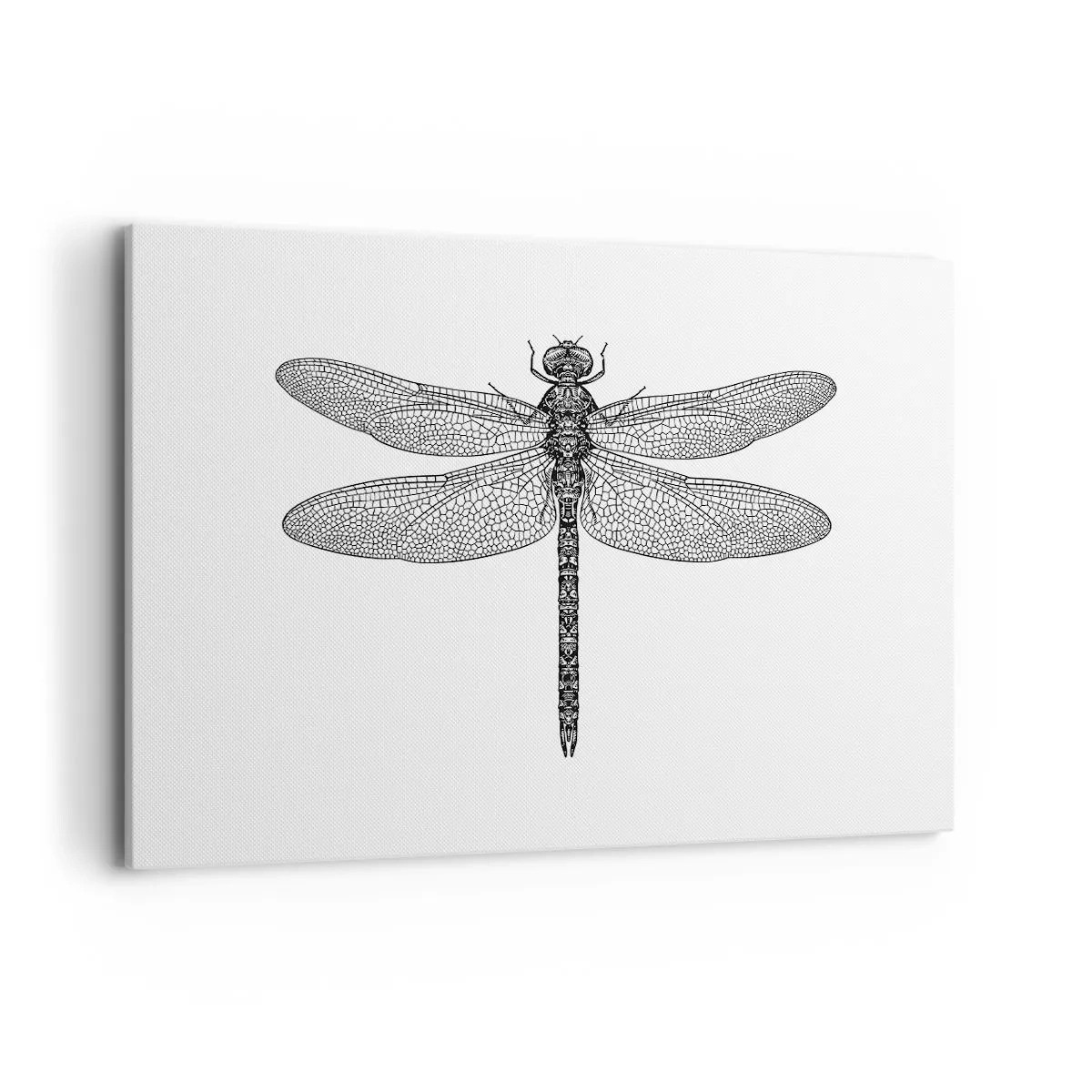 Cuadro sobre lienzo - Impresión de Imagen - Dibujo en blanco y negro de una libélula sobre un fondo blanco en estilo minimalista. - 100x70cm - Precisión de la naturaleza - Decoración de pared moderna para salón y dormitorio ARTTOR