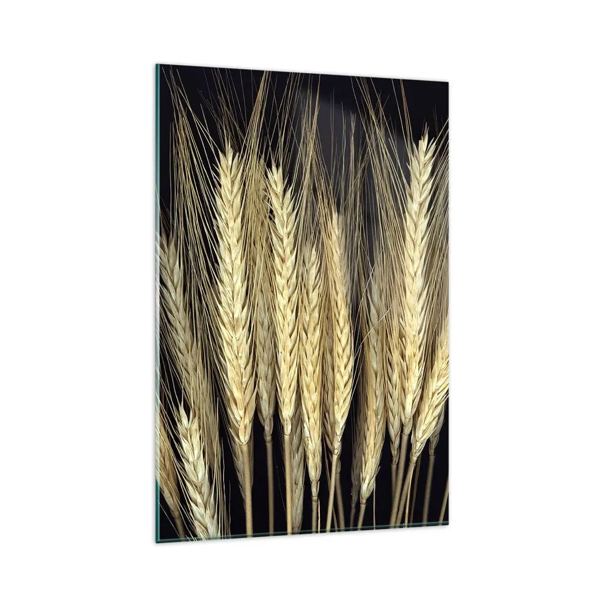 Cuadro sobre vidrio - Impresiones sobre Vidrio - Espigas de trigo sobre fondo negro en estilo rústico - 80x120cm - Magia rústica - Decoración de pared moderna para salón y dormitorio ARTTOR