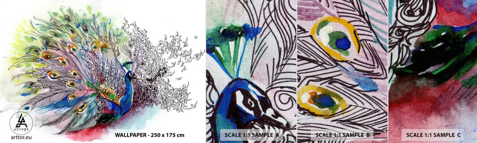 Muestra de fotomural Premium Canvas - Con orgullo contra el gris - Pájaro, Pavo real, Plumas - 100x30 cm