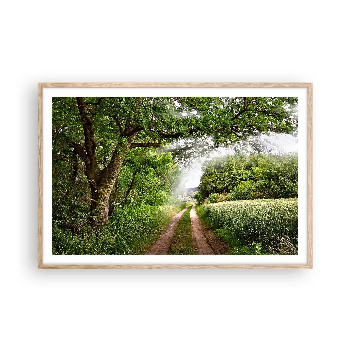 Póster en marco roble claro - Ensueño - 91x61 cm