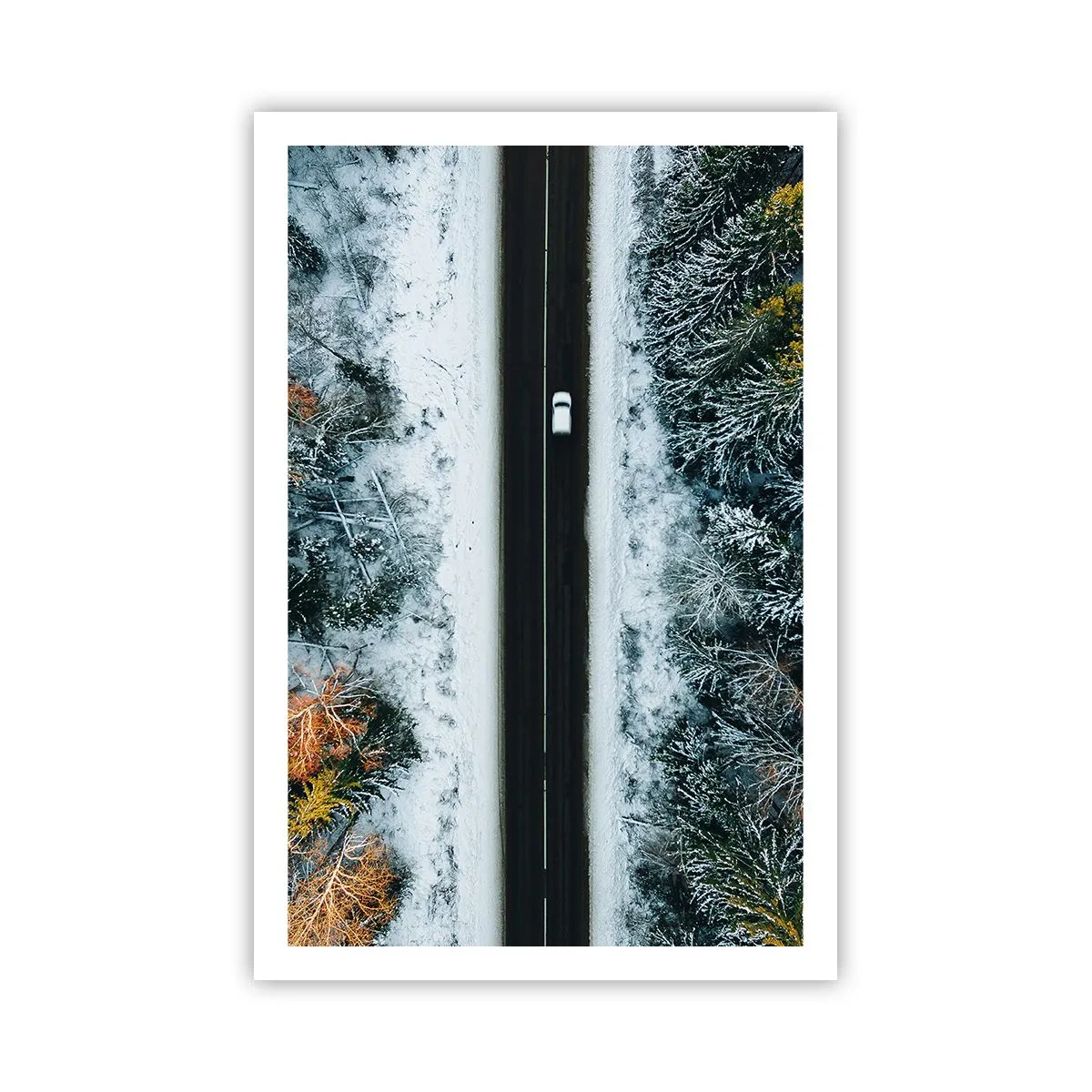 Póster - Atravesar el bosque en invierno - 61x91 cm