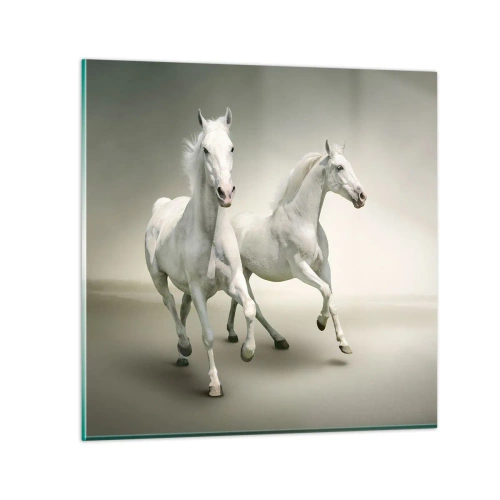 Cuadro sobre vidrio - Impresiones sobre Vidrio - ¡Poder blanco! - 70x70 cm