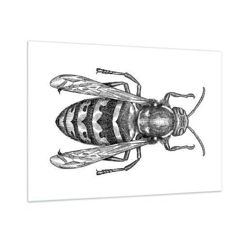 Cuadro sobre vidrio - Impresiones sobre Vidrio - Ilustración retro en blanco y negro de una avispa sobre un fondo blanco. - 100x70cm - Desde un planeta de insectos - Decoración de pared moderna para salón y dormitorio ARTTOR