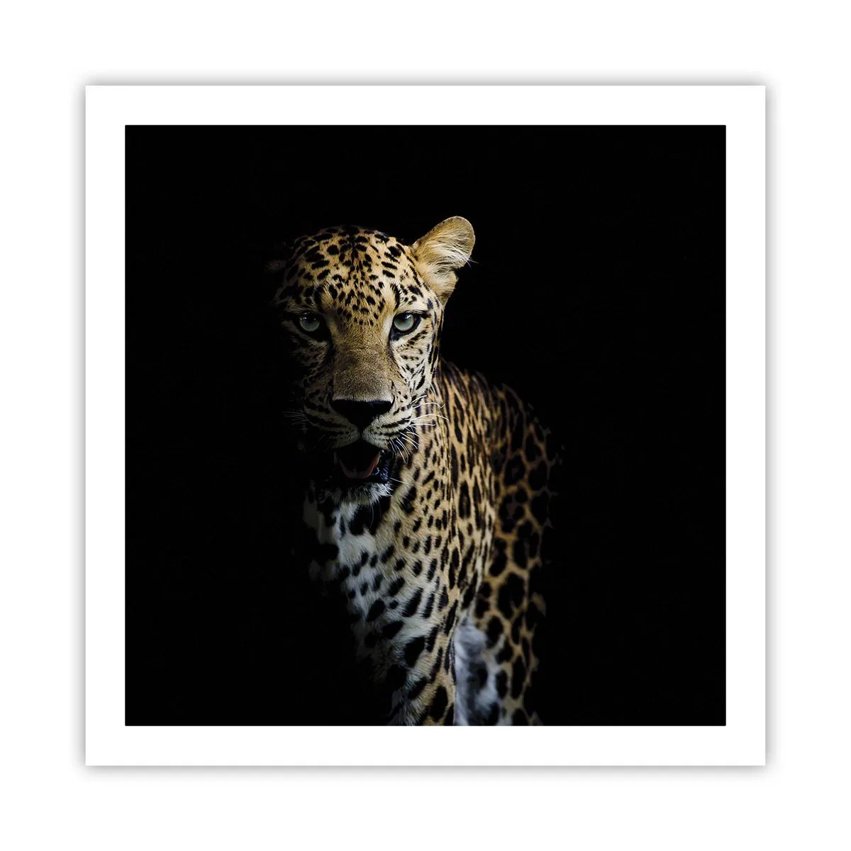 Póster - Belleza oscura - 60x60 cm