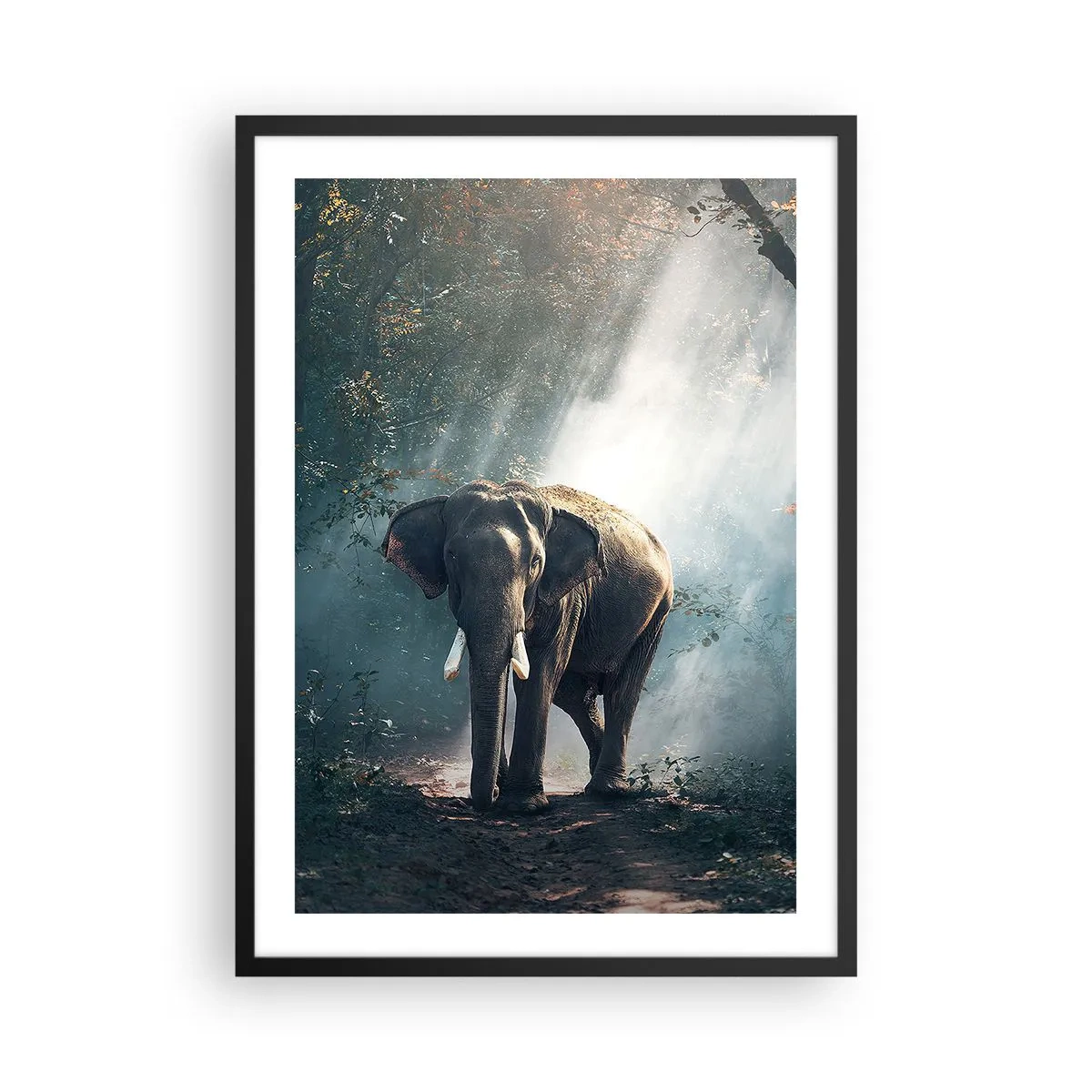 Póster en marco negro - Un elefante tomando el sol en un bosque denso. - 50x70cm - Un paseo tranquilo - Decoración de pared moderna para salón y dormitorio ARTTOR