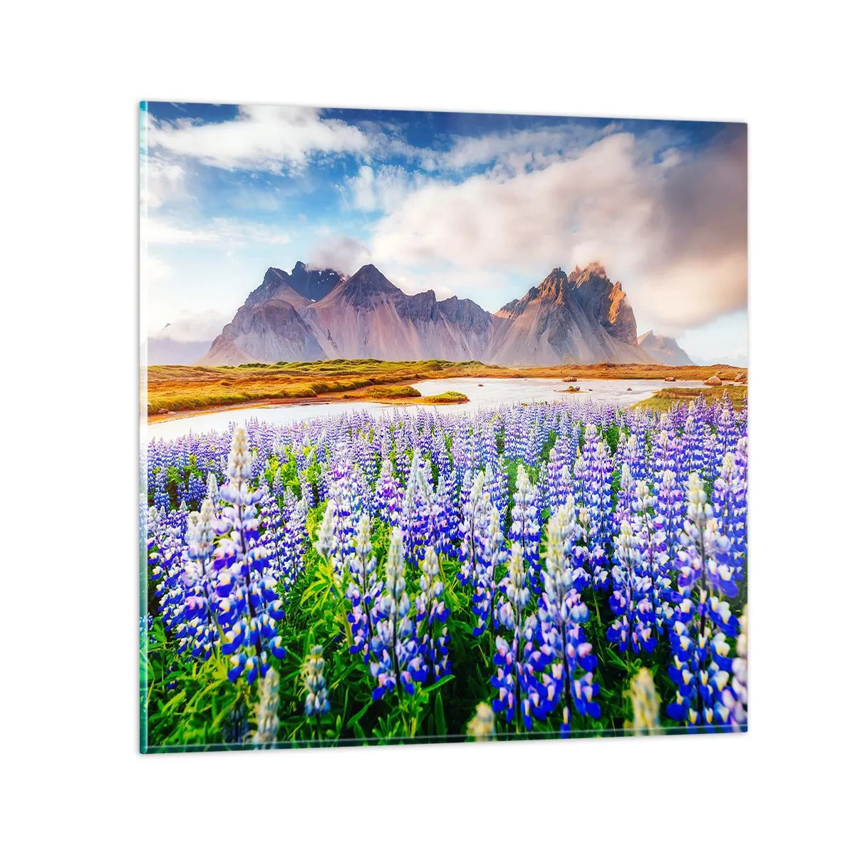 Cuadro sobre vidrio - Impresiones sobre Vidrio - La fuerza y la severidad junto a la dulzura - 70x70 cm