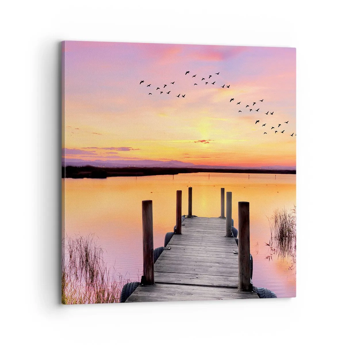 Cuadro sobre lienzo - Impresión de Imagen - Violeta amanecer silencioso - 70x70 cm