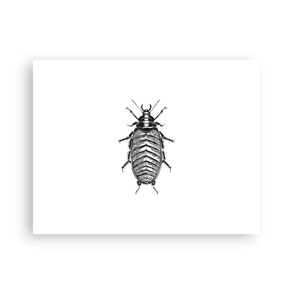 Póster - ¡Qué espécimen! - 40x30 cm