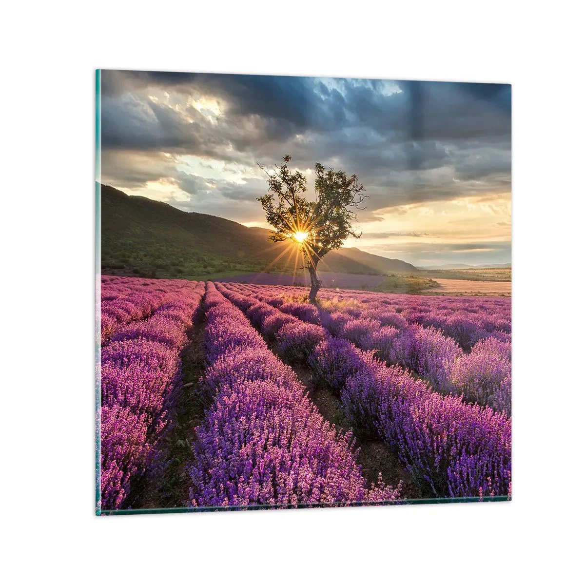 Cuadro sobre vidrio - Impresiones sobre Vidrio - Aroma en lila - 70x70 cm