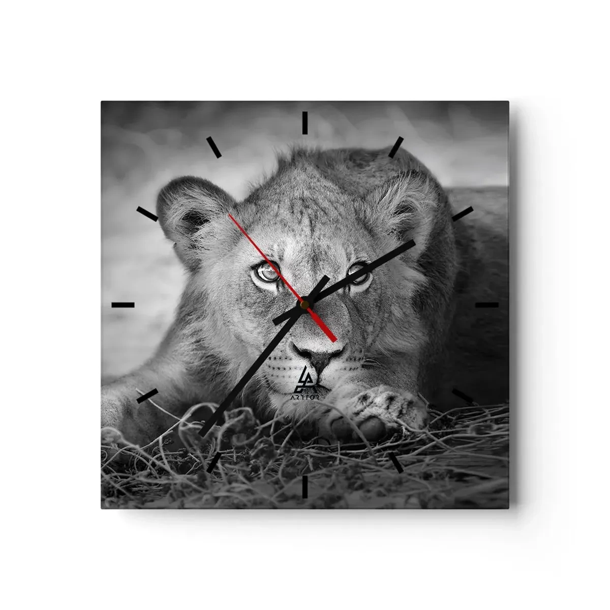 Reloj de pared - Reloj de vidrio - Retrato monocromático de un león joven acostado - 30x30cm - Un cachorro real - Decoración de pared moderna para salón y dormitorio ARTTOR