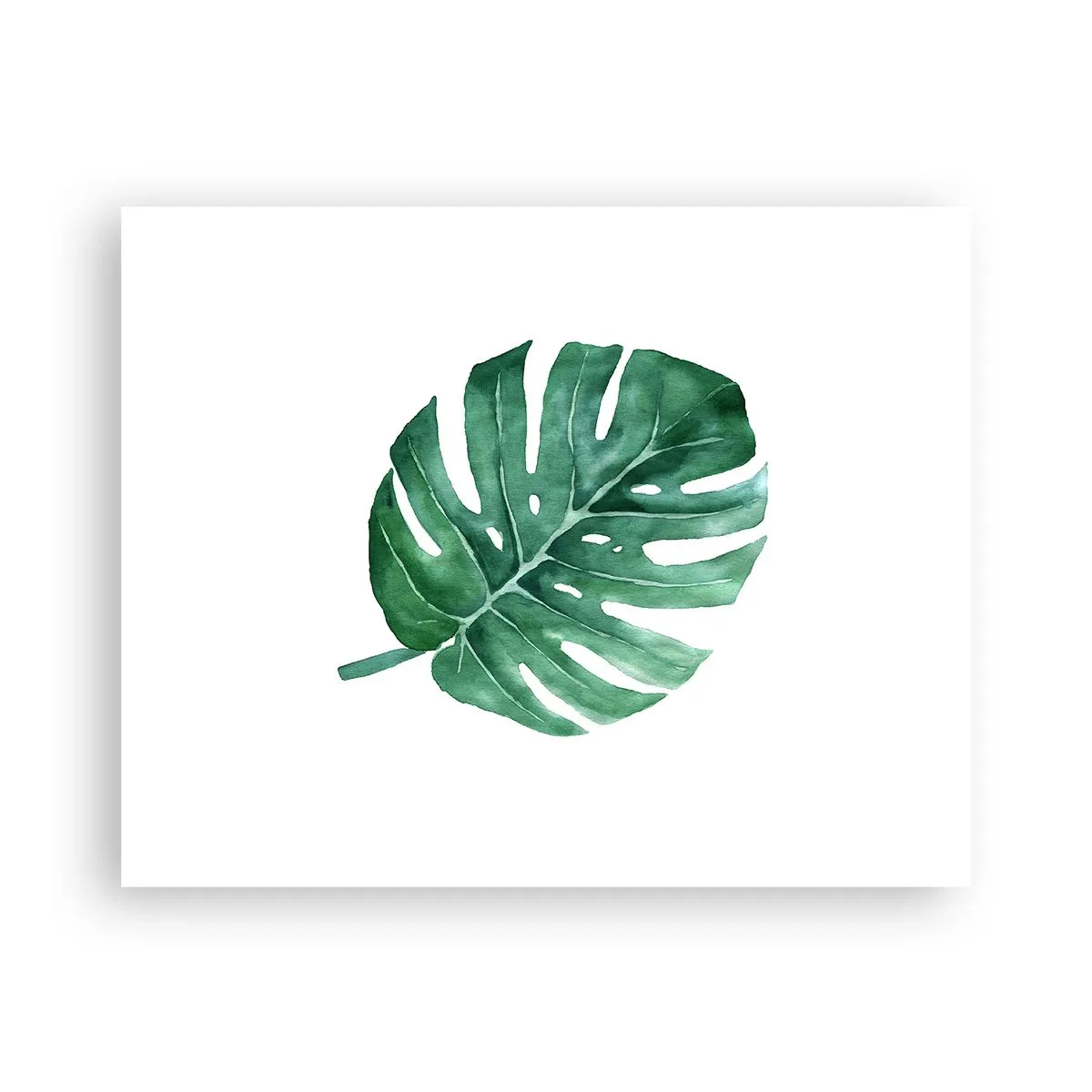 Póster - Concepto verde - 50x40 cm