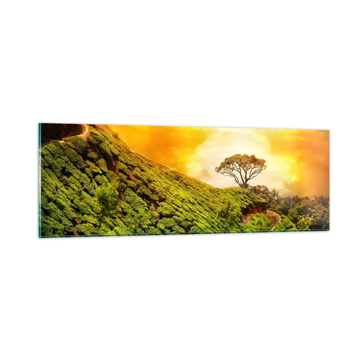 Cuadro sobre vidrio - Impresiones sobre Vidrio - Por un camino sinuoso, por una verde pendiente - 90x30 cm