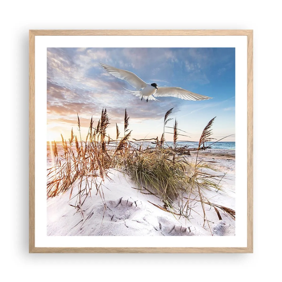 Póster en marco roble claro - Viento del mar - 60x60 cm