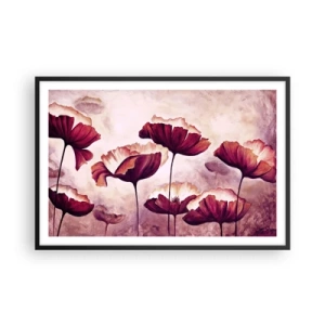 Póster en marco negro - Pétalo rojo y blanco - 91x61 cm