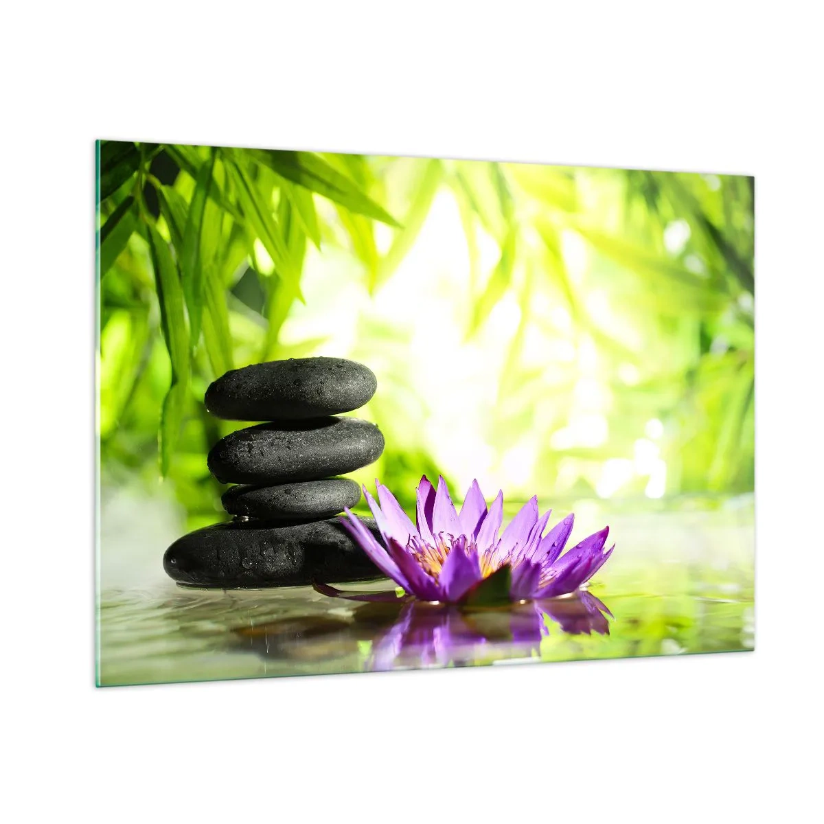 Cuadro sobre vidrio - Impresiones sobre Vidrio - Flor de loto morada con piedras zen sobre un fondo verde. - 100x70cm - En una cabaña de bambú - Decoración de pared moderna para salón y dormitorio ARTTOR