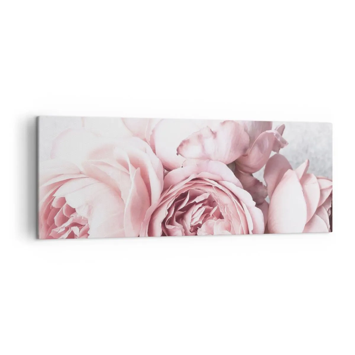 Cuadro sobre lienzo - Impresión de Imagen - Peonías rosas en una luz suave sobre un fondo claro. - 140x50cm - Para los románticos - Decoración de pared moderna para salón y dormitorio ARTTOR