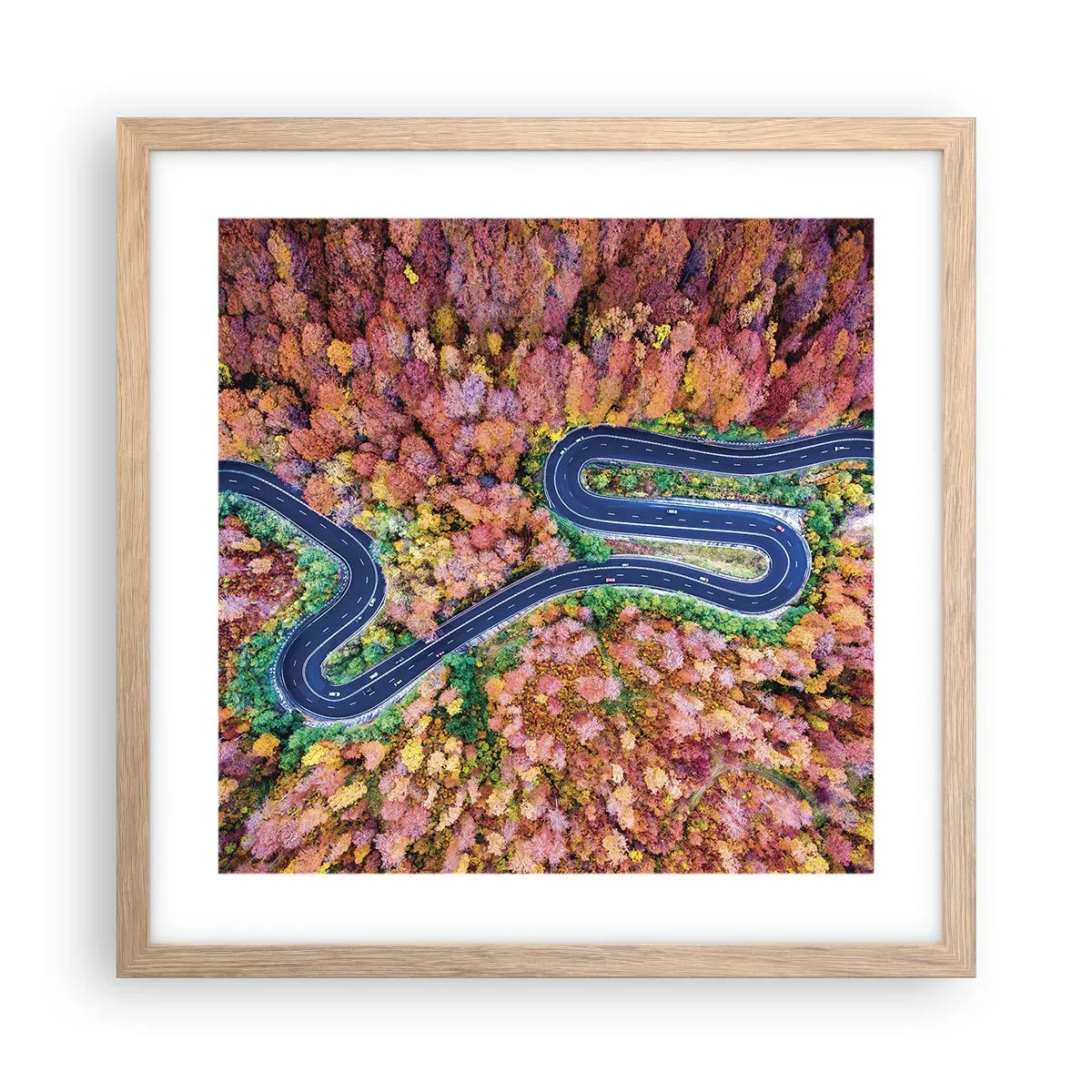 Póster en marco roble claro - Un camino sinuoso a través del bosque - 40x40 cm