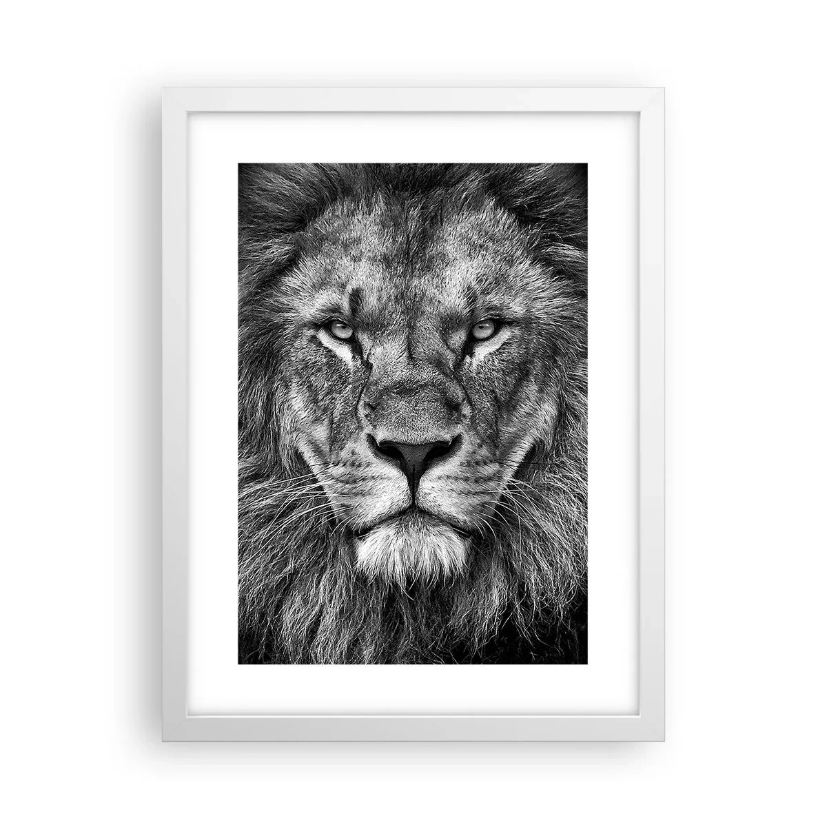 Póster en marco blanco - Con el atuendo de la coronación - 30x40 cm