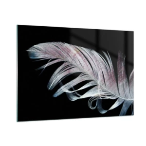 Cuadro sobre vidrio - Impresiones sobre Vidrio - Una delicada pluma sobre un fondo negro en un enfoque artístico. - 100x70cm - Piensa en el tacto - Decoración de pared moderna para salón y dormitorio ARTTOR